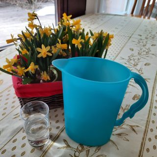 Pöydällä narsissit kasvamassa kukkaruukussa, edessä vesilasi ja vesikannu. 